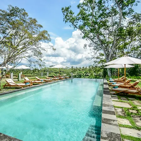 The Pandora Hotel